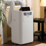 proLarge_dpac10010_window5