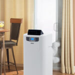 proLarge_dpac10010_patio5