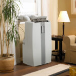 proLarge_dpac10011_window10 proLarge_dpac10011_window10