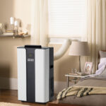 proLarge_dpac120011h_window5