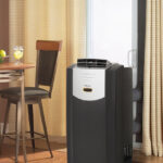 proLarge_dpac13009_insetting5