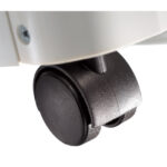 proLarge_dpac12099_castor11