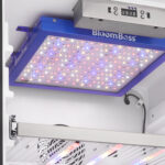 DFG58D1BSS_LED