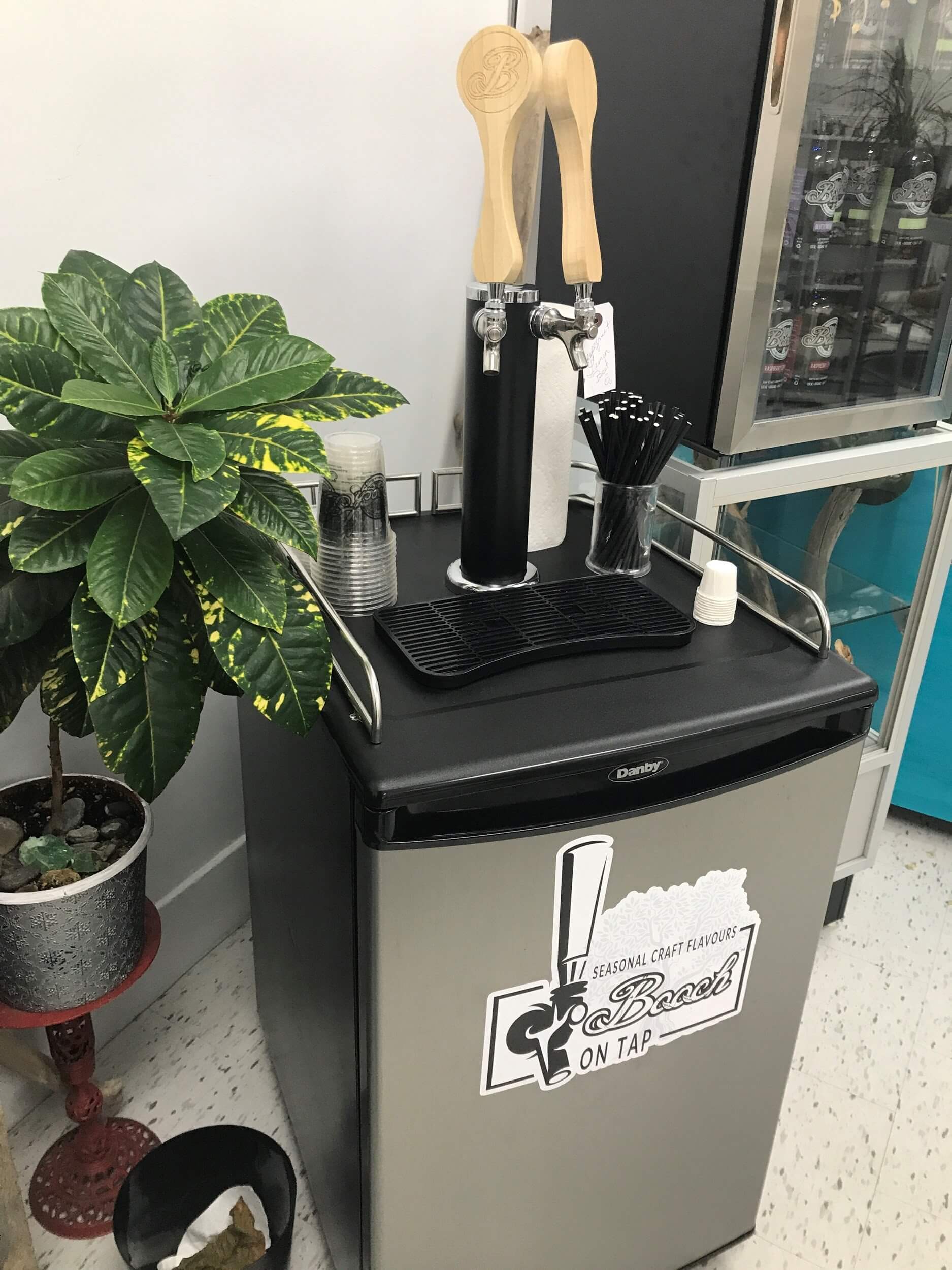 Kombucha Kegerators? Danby Canada